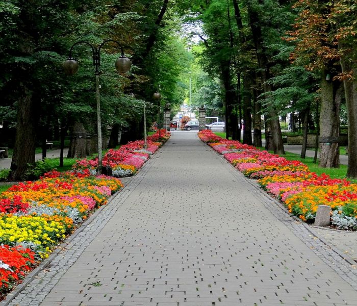 Park